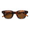 Apollo / Tortoise Acetate & Brown Lens